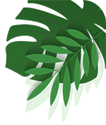 Eco